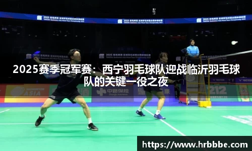 2025赛季冠军赛：西宁羽毛球队迎战临沂羽毛球队的关键一役之夜