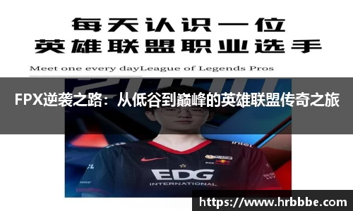 摩根体育娱乐